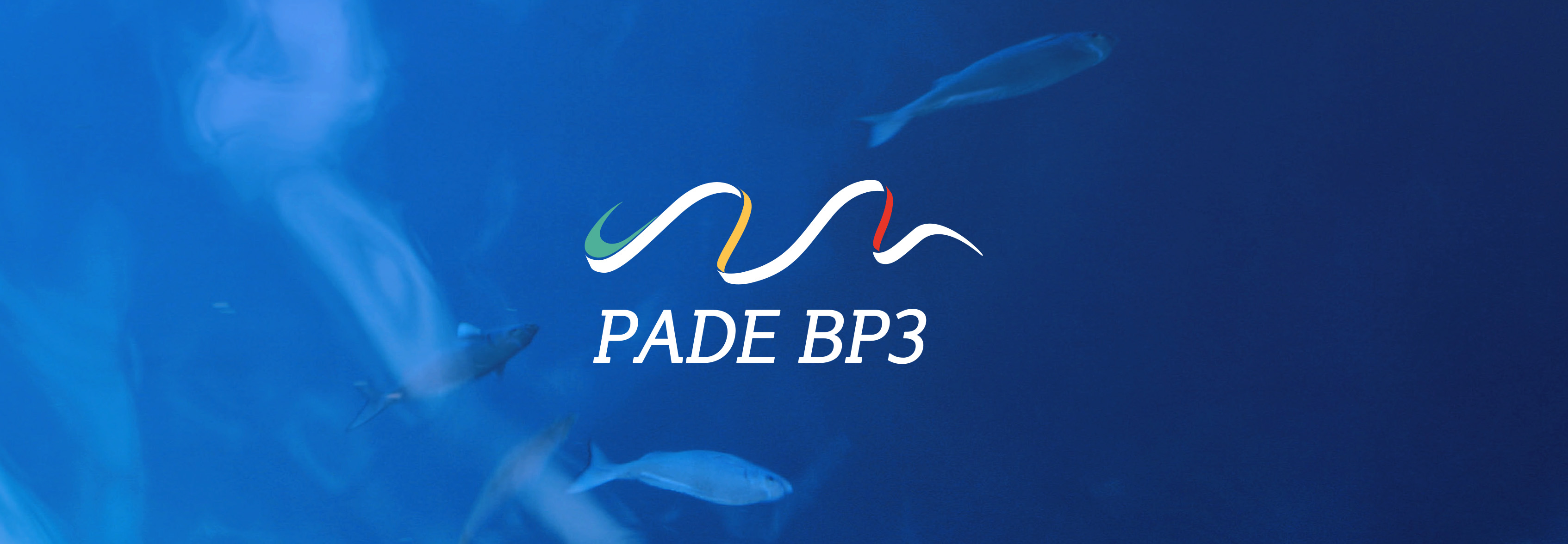 Hero image logo PADE 3 in front of river water