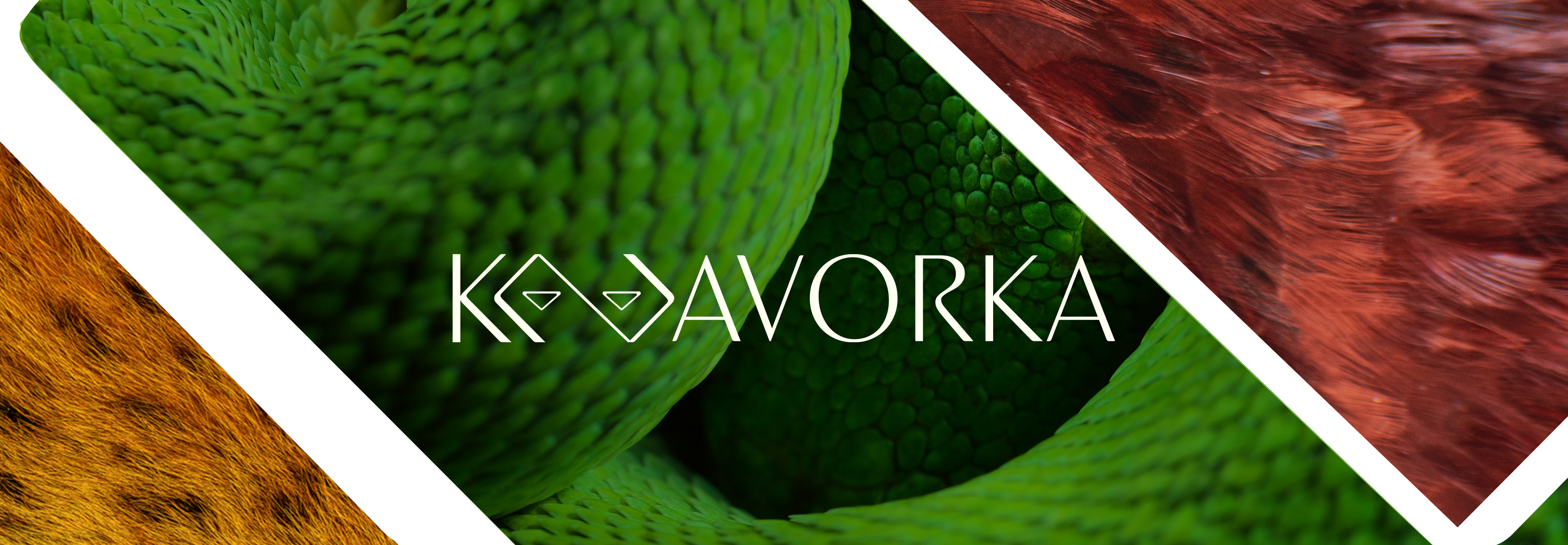 Hero image logo Bossa del Alps in front of the Alps