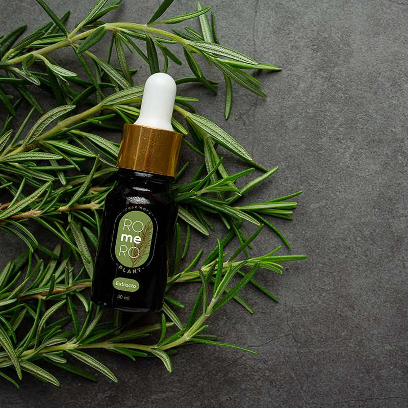 Two mailboxes, one is closed and has a pattern made with rosemary leaves and a green label with the recipient's information. The second box is open, its interior is green like the label.